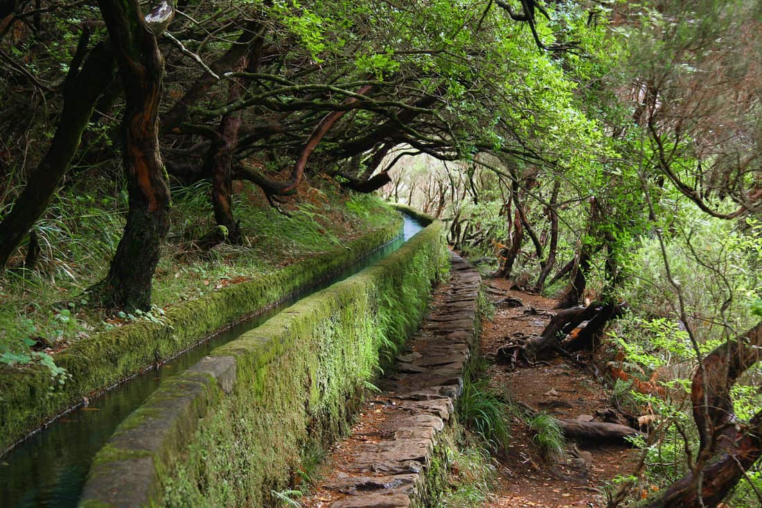 Levada bei Rabaçal, Madeira Bild: JOEXX CC BY-SA 3.0