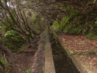 Levada in Madeira