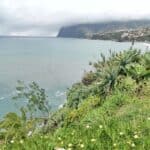 Madeira Galerie 1079