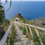 Madeira Galerie 1104