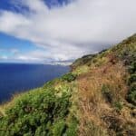 Madeira Galerie 1110