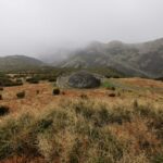 Madeira Galerie 1129