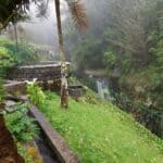 Madeira Galerie 1138