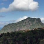 Madeira Galerie 1151