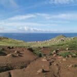 Madeira Galerie 1180