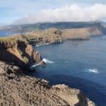 Madeira Galerie 1182