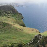 Madeira Galerie 1203