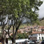 Madeira Galerie 1208