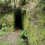 Madeira Galerie 1211