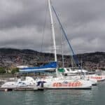 Madeira Galerie 1249