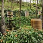 Madeira Galerie 1392