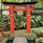 Madeira Galerie 1406