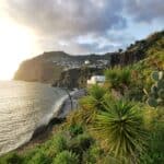 Madeira Galerie 172