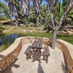 Madeira Galerie 1858