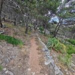 Madeira Galerie 1871