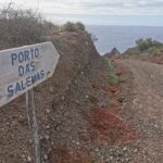 Madeira Galerie 1958