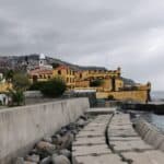Madeira Galerie 233