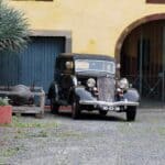 Madeira Galerie 235