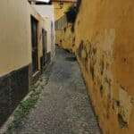 Madeira Galerie 237