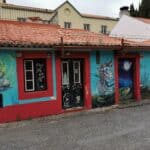 Die Türen von Funchal Madeira Galerie 246