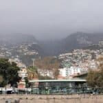 Madeira Galerie 254