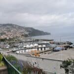 Madeira Galerie 269