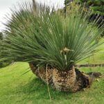 Madeira Galerie 274