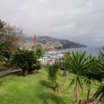 Madeira Galerie 276