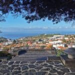 Madeira Galerie 303