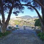Madeira Galerie 304