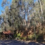 Madeira Galerie 311