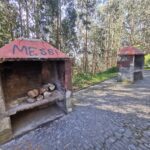 Madeira Galerie 317