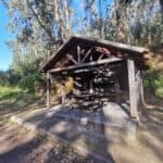 Madeira Galerie 318