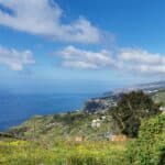 Madeira Galerie 326