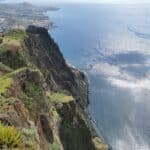 Madeira Galerie 335