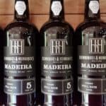 Madeira Galerie 355