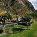 Madeira Galerie 36
