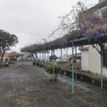 Madeira Galerie 397