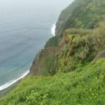 Madeira Galerie 438