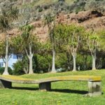 Madeira Galerie 45