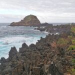 Madeira Galerie 483