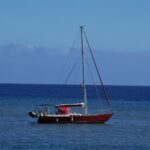 Madeira Galerie 491