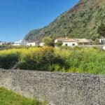 Madeira Galerie 527