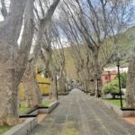 Madeira Galerie 569