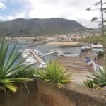 Madeira Galerie 592