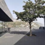 Madeira Galerie 720