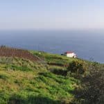 Madeira Galerie 78