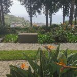 Madeira Galerie 802