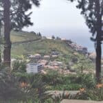 Madeira Galerie 803