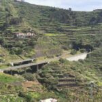 Madeira Galerie 843